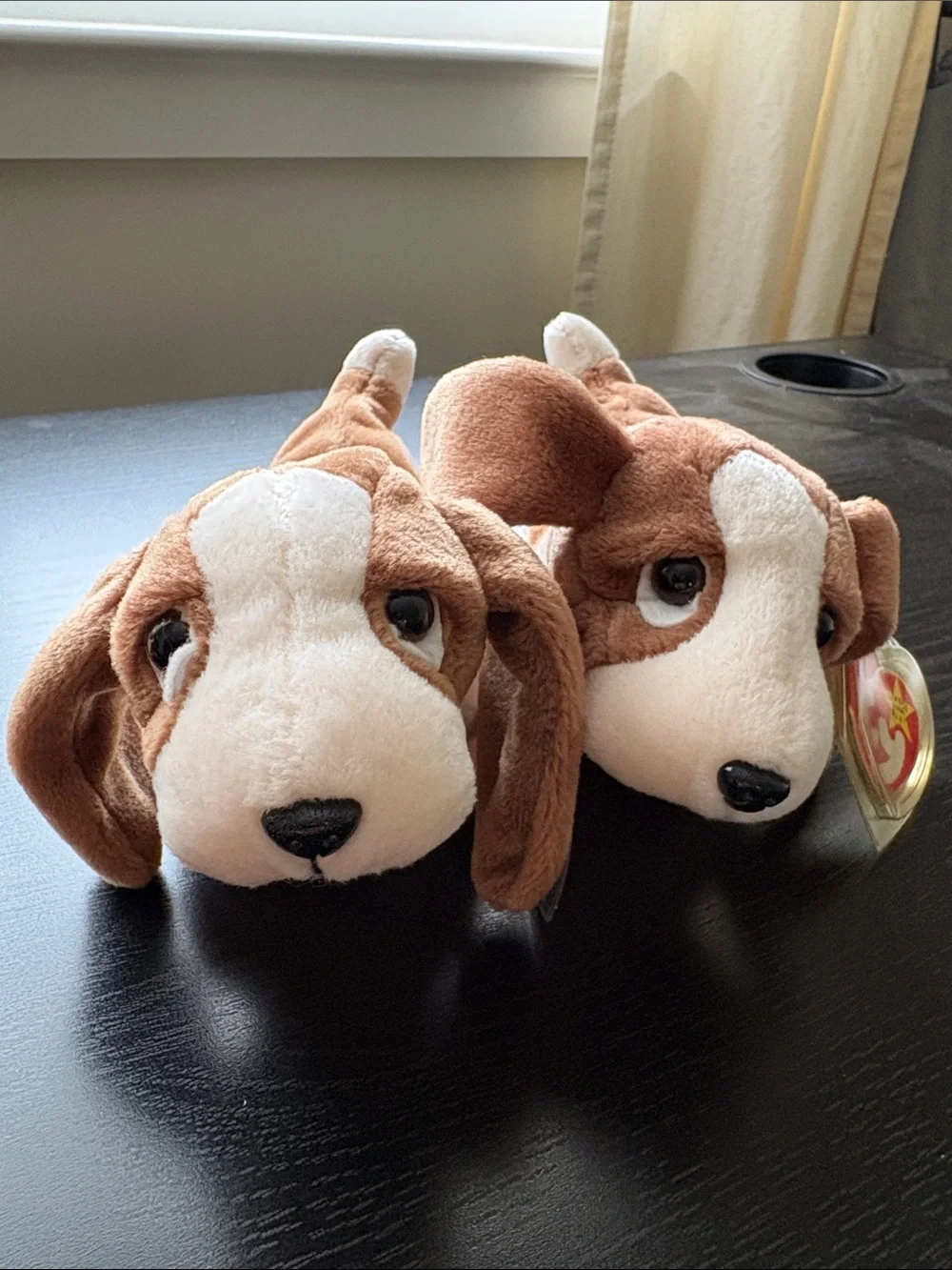 Ty Beanie Babies Plush Dog Set - Brown, Tan, White, Black
